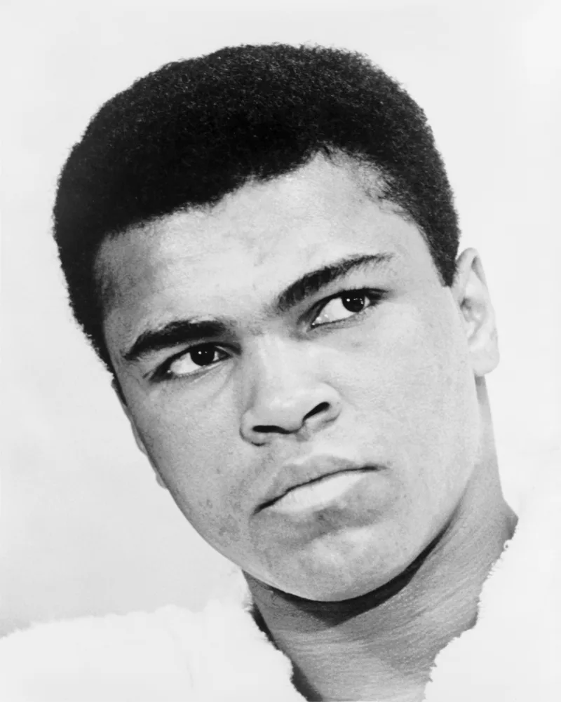 Ali reference 1